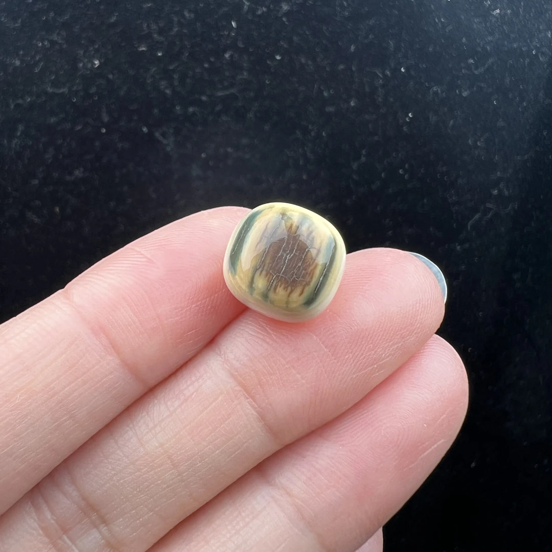 D8621天然猛犸牙 蓝眼睛单珠11.4*11mm支持鉴定 假一罚四