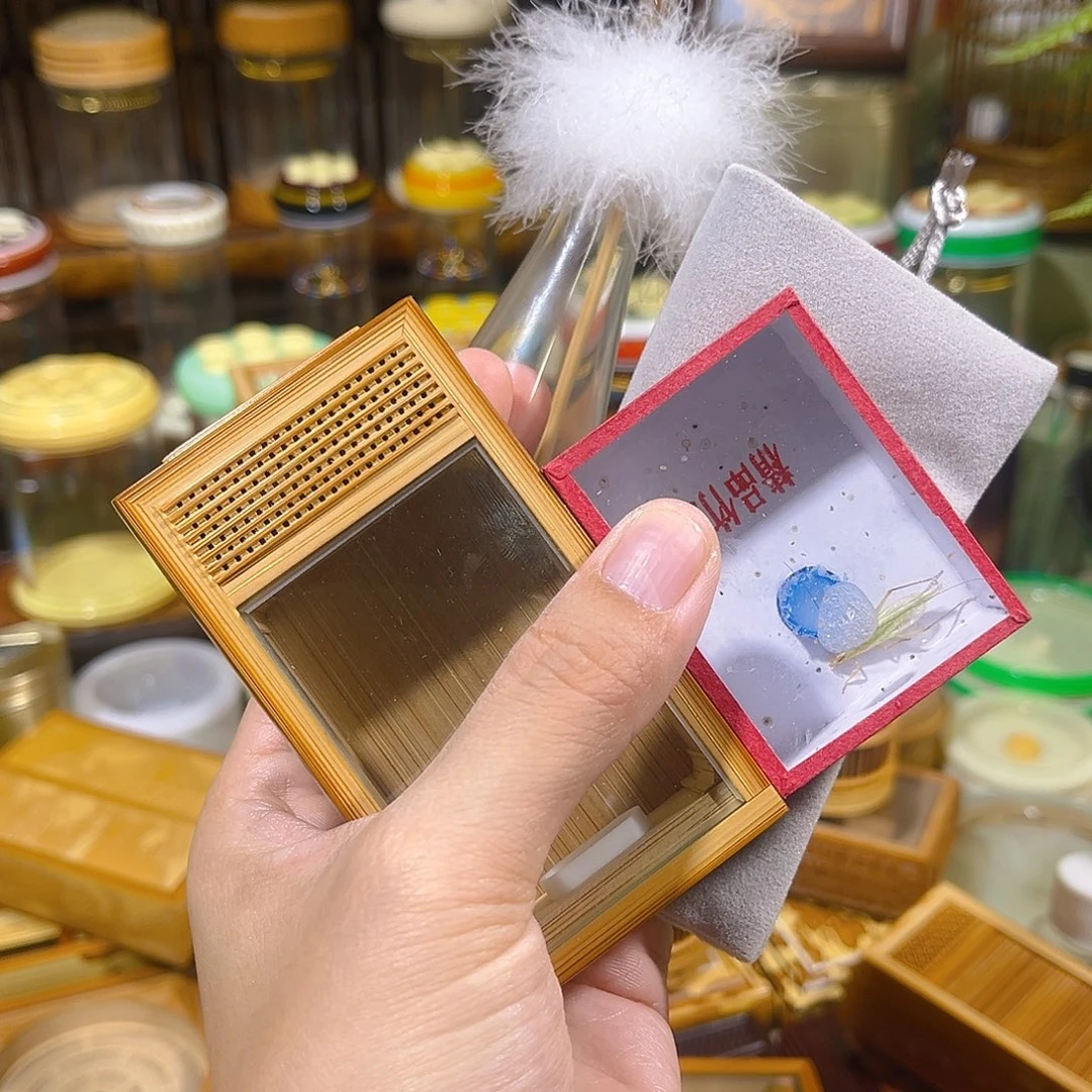 蟋蟀老竹竹蛉盒+过虫器+竹蛉+布套