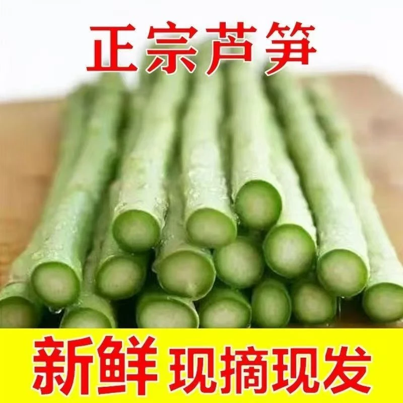 2025大棚芦笋特大芦笋基地直发现采新鲜芦笋脆嫩可口营养芦笋新鲜