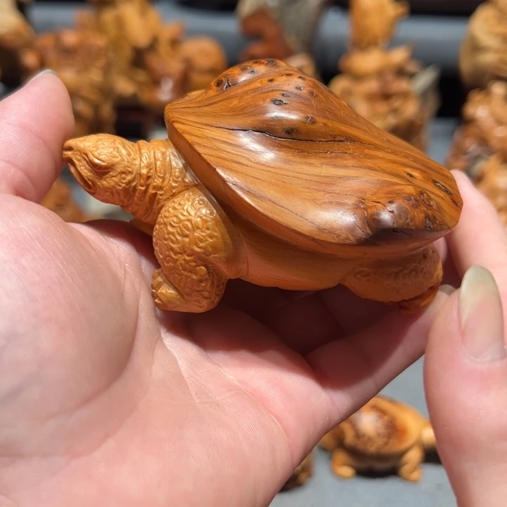 柏木（崖柏）点点关注