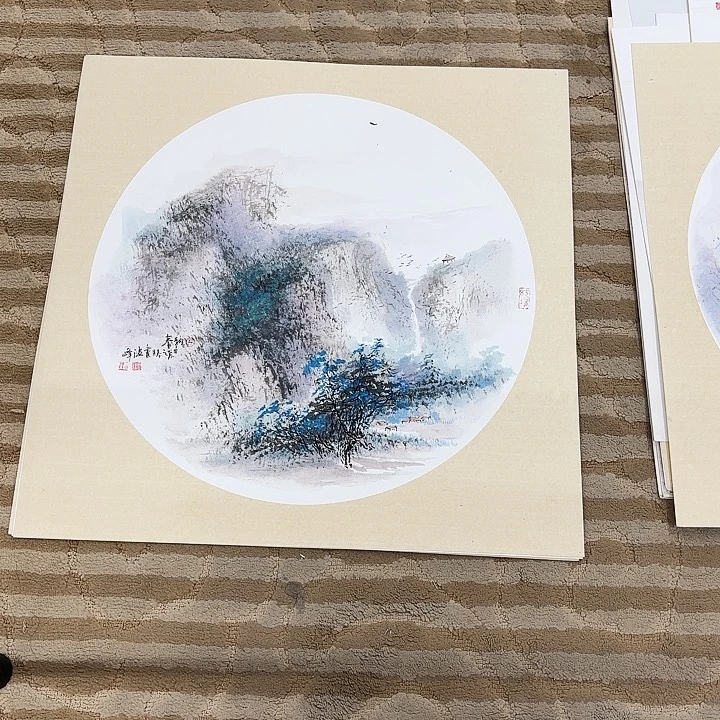 国画花鸟的翅膀和翅膀