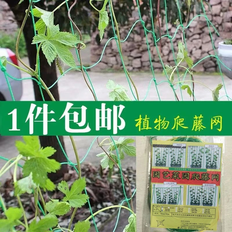 庭院植物爬藤网果园种植网丝瓜葡萄蔬菜百香果爬藤网防护网藤蔓网