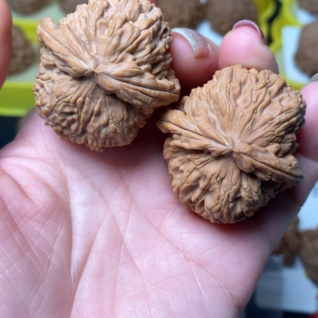 文玩核桃吊坠海***鱼111111111111111