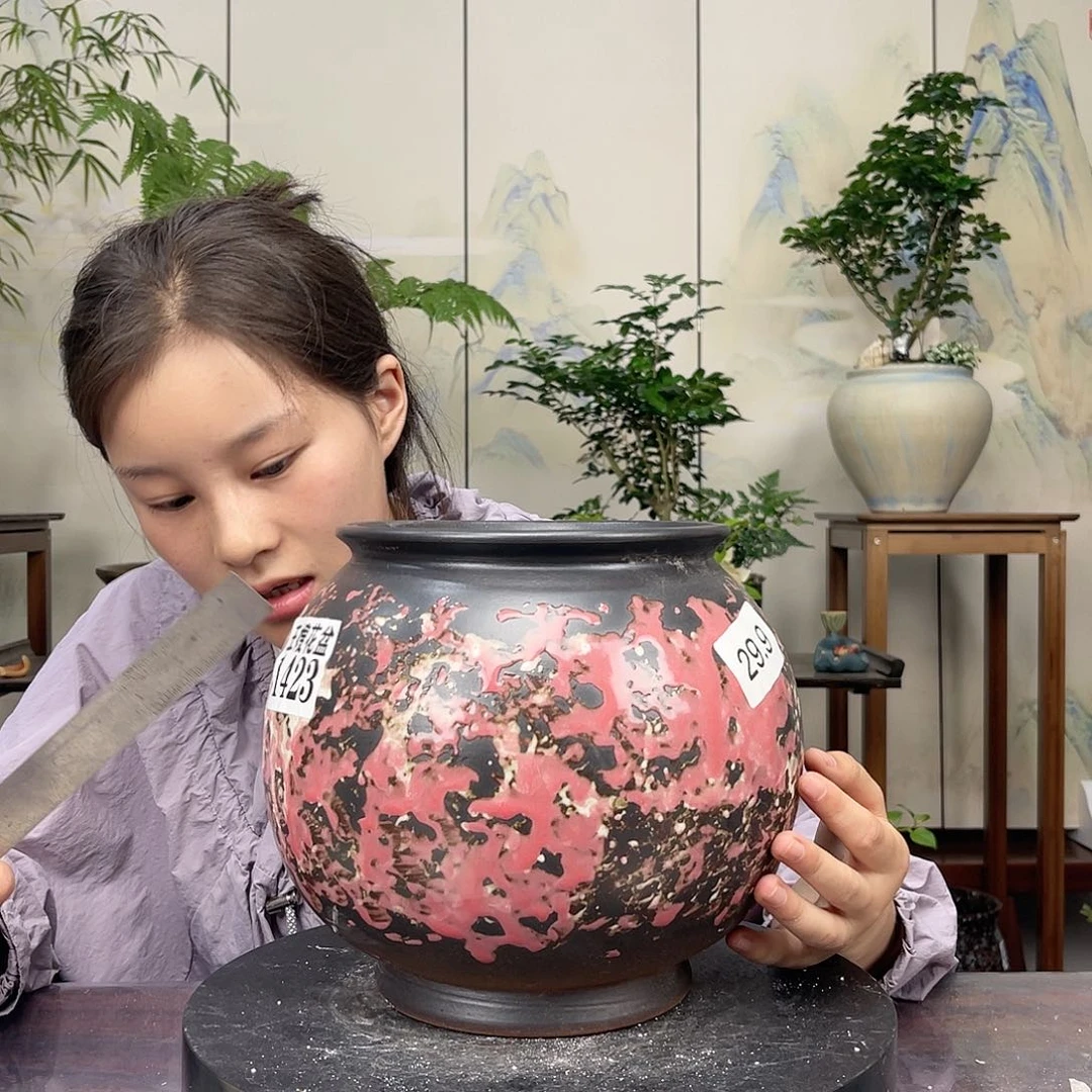 王老板花盆福利0602-1423