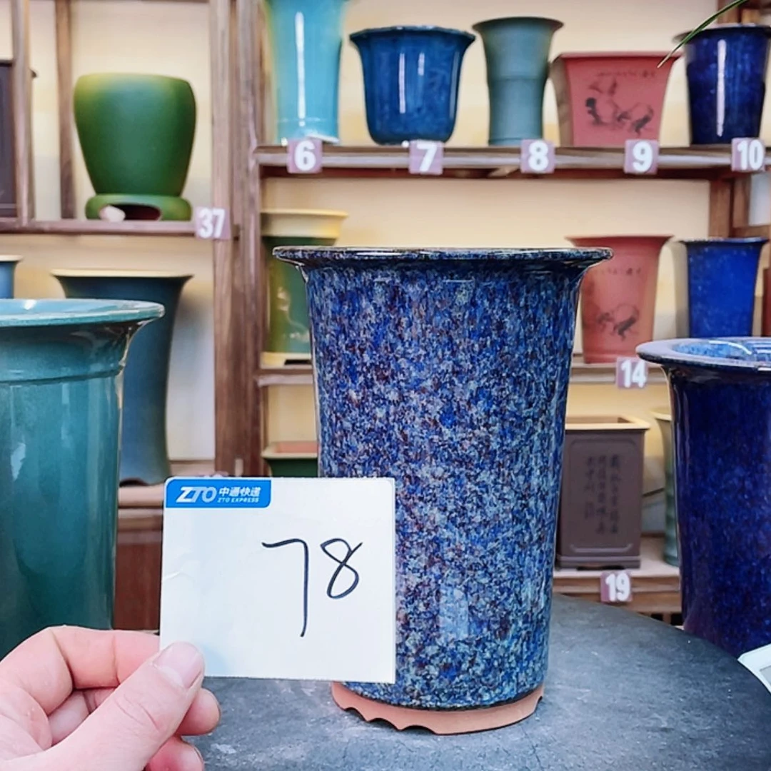 【闪购商品】紫砂花盆茶***（兰花556555598855558888