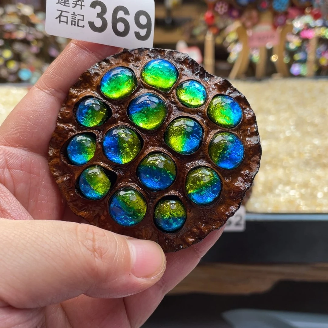 核桃木/黑胡桃（胡桃木）艺*369蘑菇