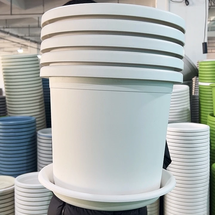 特价6号四季口32.5高27.7白色带托5只