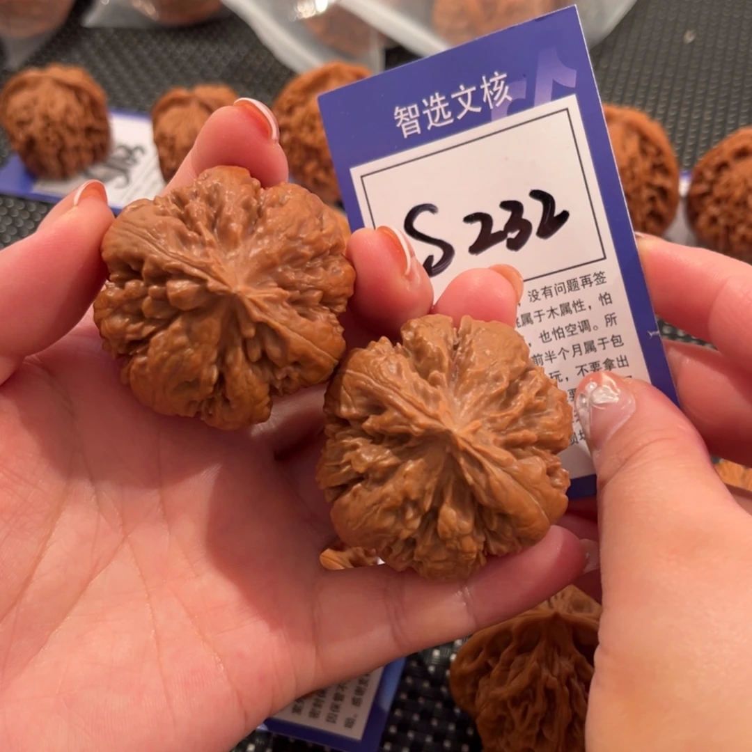 核桃S242号霸王龙43尺