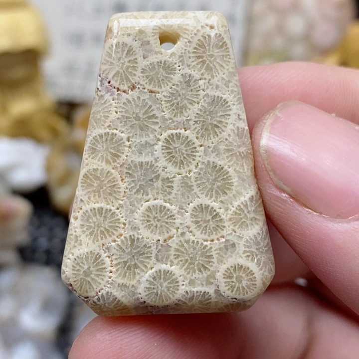 颈饰未镶嵌硅化珊瑚（珊瑚玉）有瑕 小