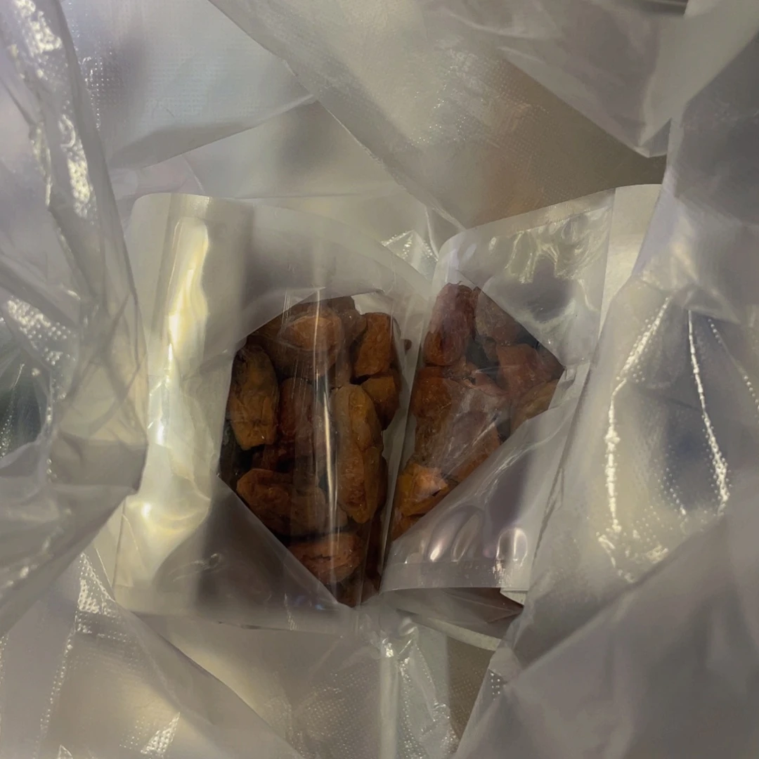 杯纯手工制作陶瓷茶具