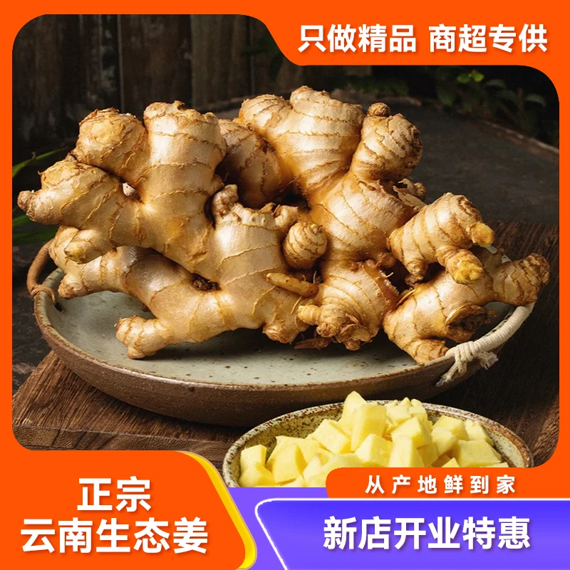 【云南黄姜】红土生态黄姜2025新鲜/精选品质生姜老姜/无添加新鲜泥姜高山种植1斤云南姜