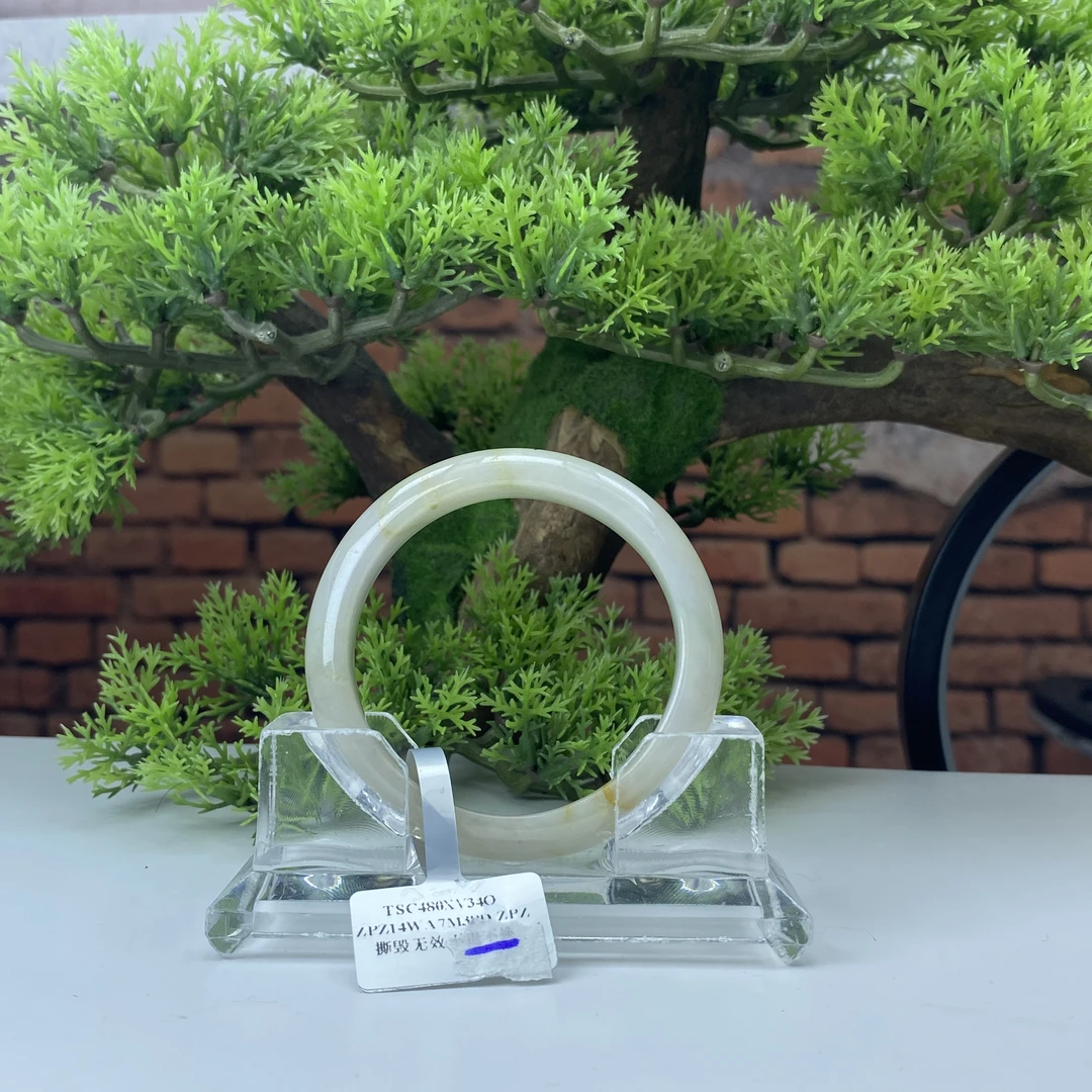 56.2【刀客砍价王】燕子-天然缅甸A货翡翠手镯(微瑕)  B1