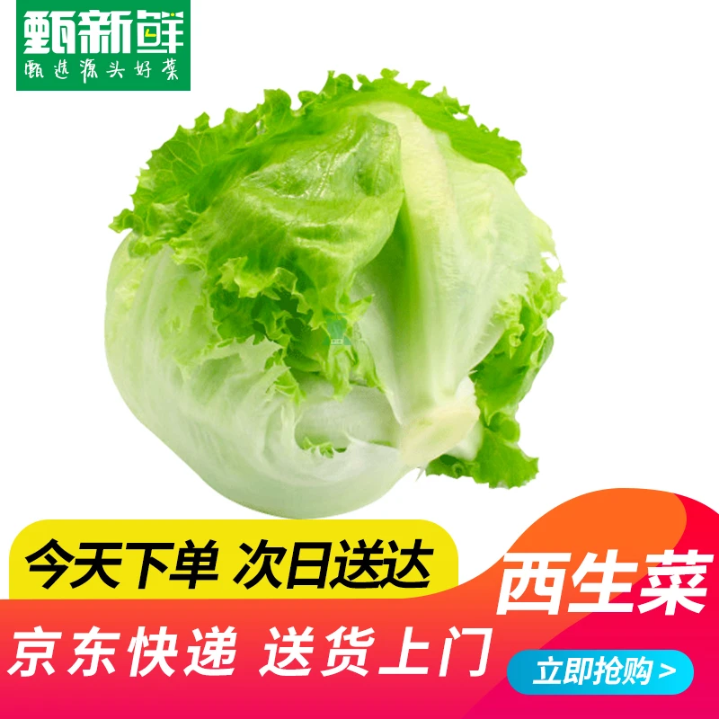 ⑤⑧新鲜西生菜700g±50g京东快递送货上门绿色蔬菜
