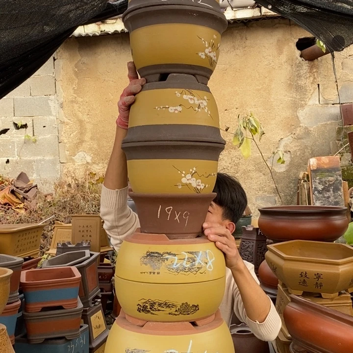 紫砂花盆紫砂特疼，紫砂