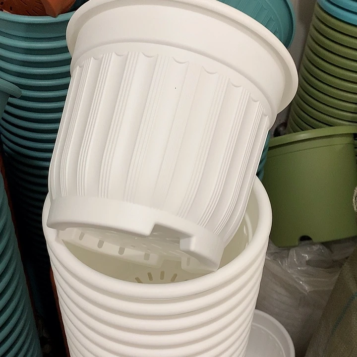 罗马口24高20白4个