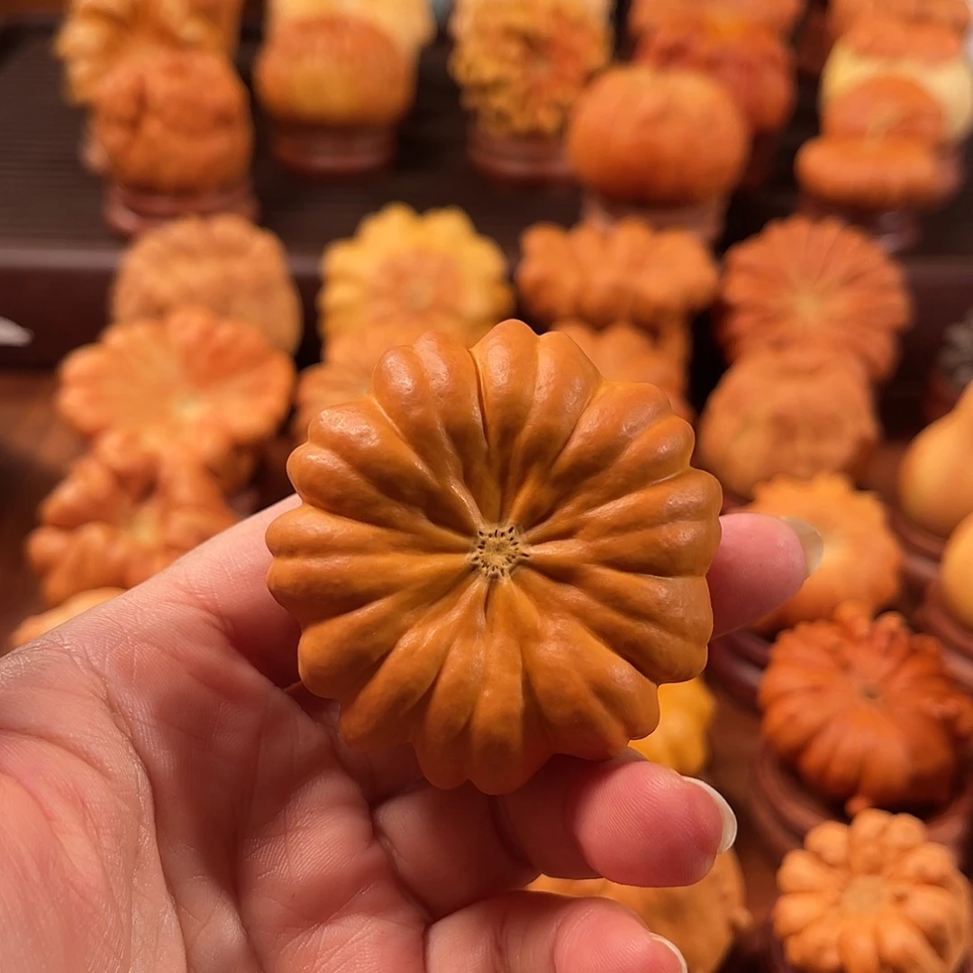 凭***风墨西哥葫芦手把花瓣