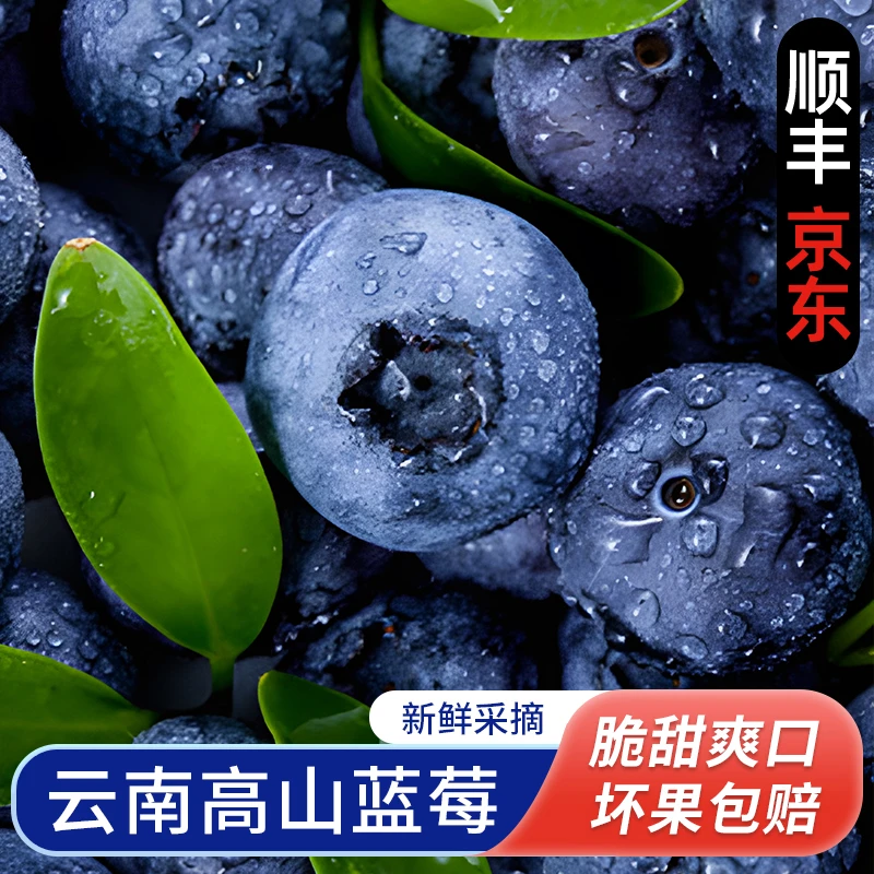 D1【顺丰京东】云南脆甜蓝莓 新鲜蓝莓大果应当季多汁水果现摘现发