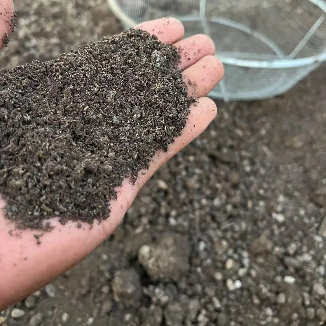 高温腐熟8个月,发酵纯羊粪,5斤