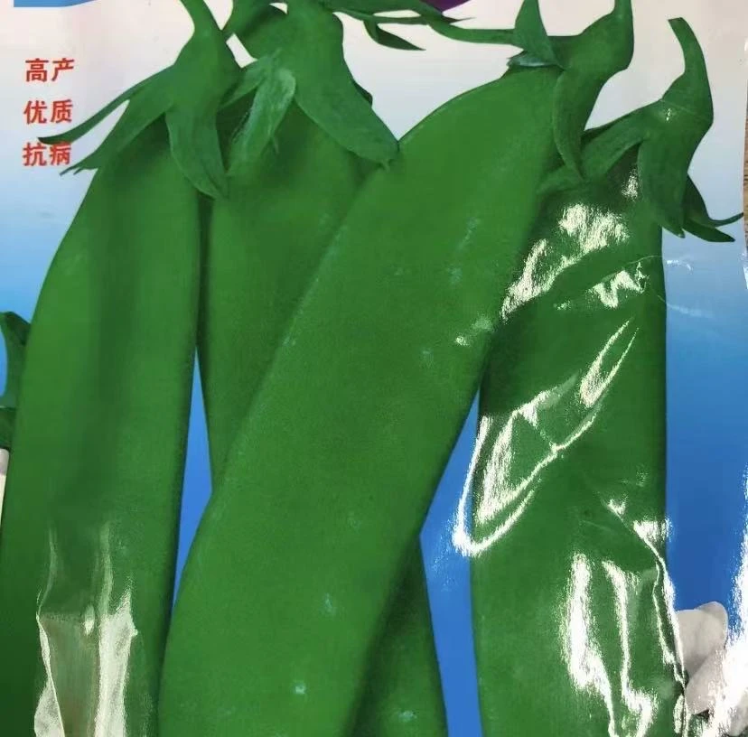 【大夹荷兰豆种子】豌豆蔬菜种子四季种植阳台盆栽蔬菜种子