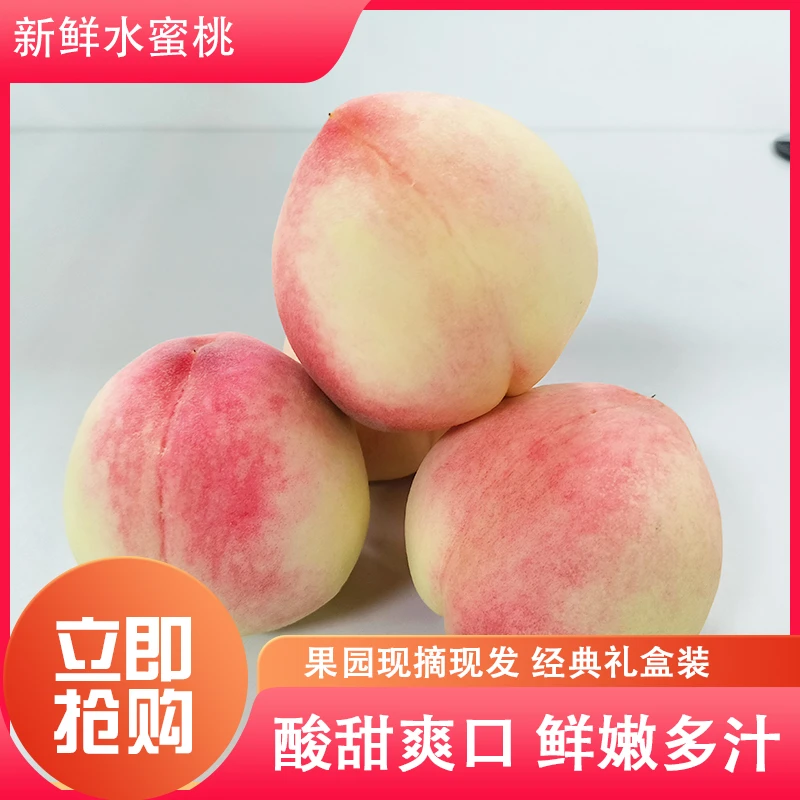 【省内拍】 北京7号水蜜桃当季新鲜水果现摘现发香甜多汁包邮