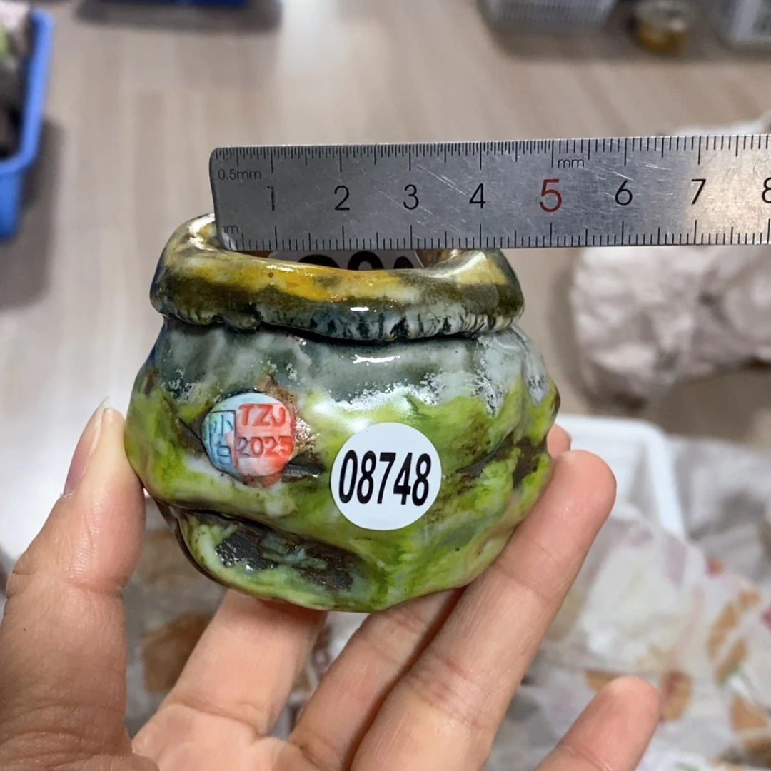 花盆拍3送一个小礼物