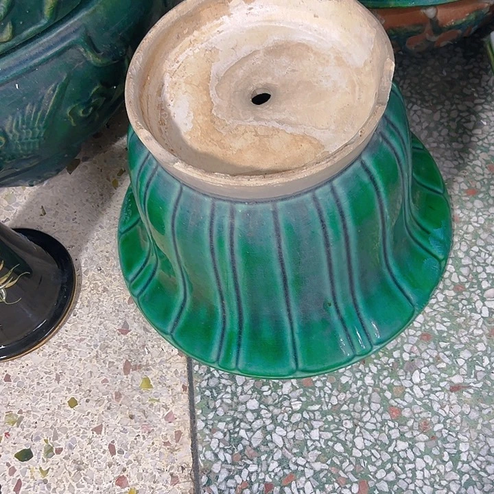 红陶草*。。。。。。。。。。