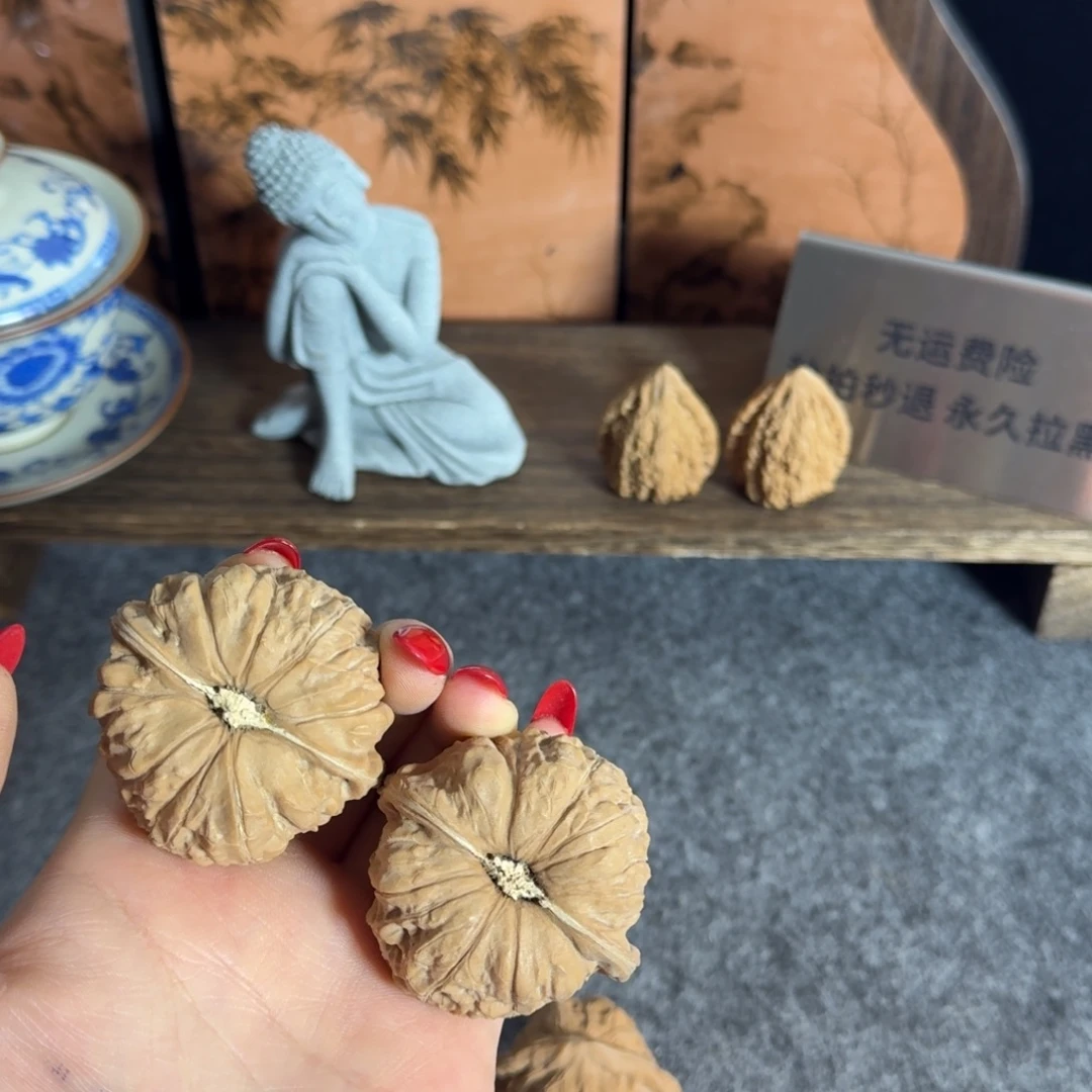 全品49白茬南瓜墩