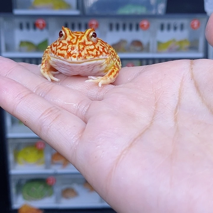 特价秒杀现货特价残