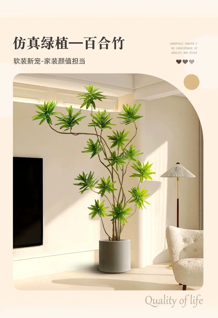 百合竹客厅真绿植室内好养大型花卉盆栽老桩造型盆景四季常青植物