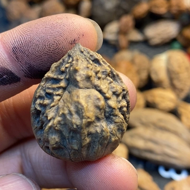 核***玩吊坠文玩核桃娜姐135