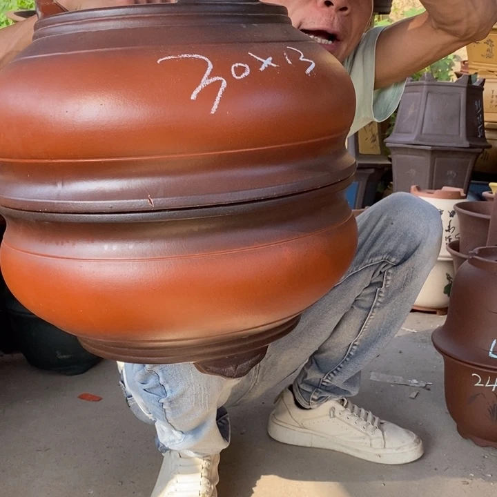 紫砂紫砂紫砂紫砂
