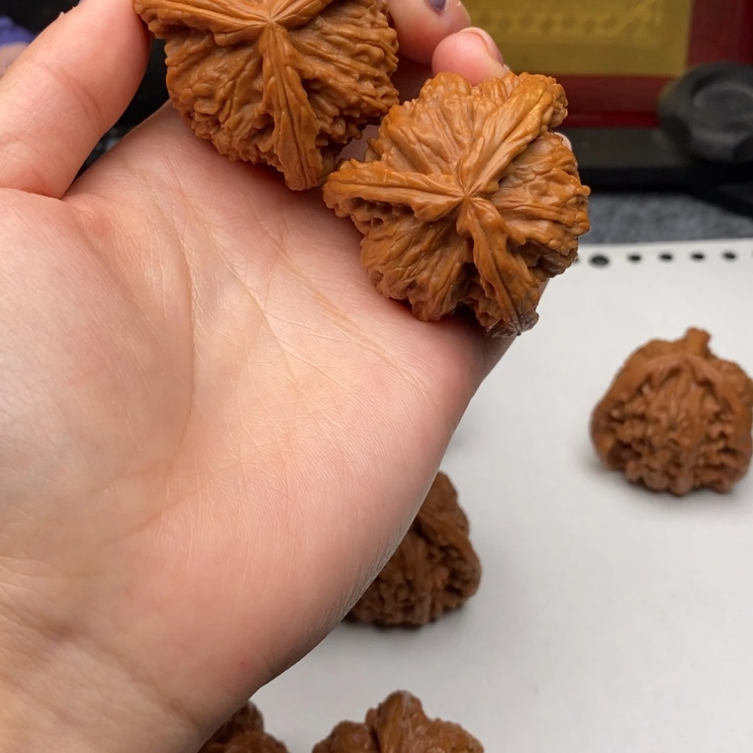 向****活白狮子1111111