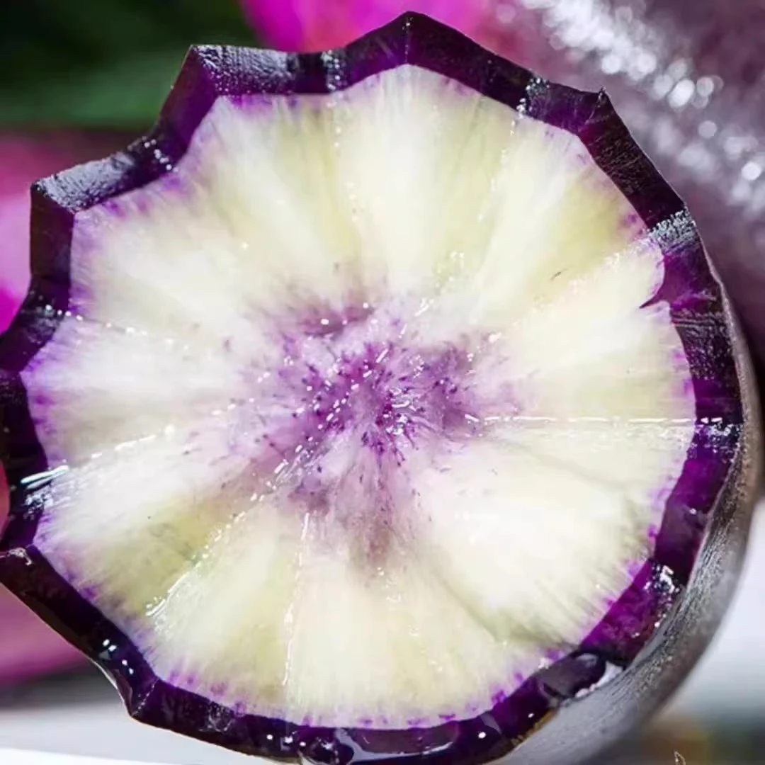 河南现拔冰激凌水果萝卜冰糖心脆甜新鲜冰激凌多汁水果型甜3/5/斤