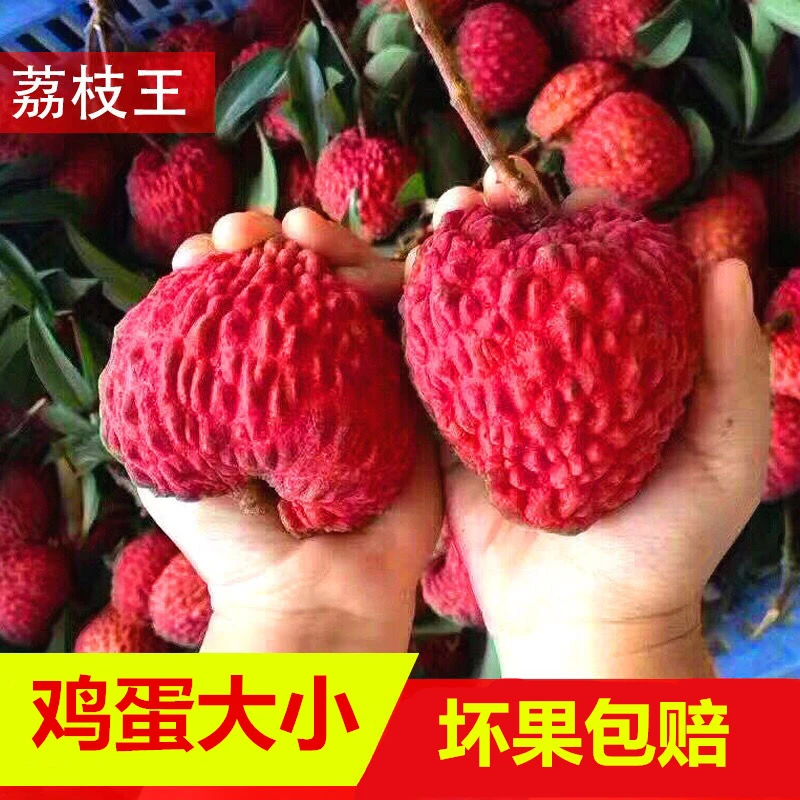 【顺丰空运】海南永兴荔枝王空运整箱5斤精品礼盒送货上门