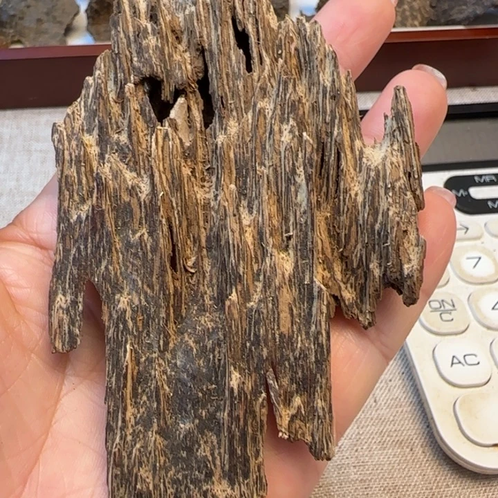 摆件沉香海南野生吊口13.7克