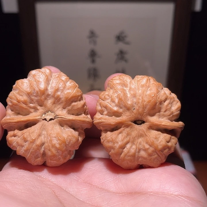 常***边核桃把件蛤蟆头