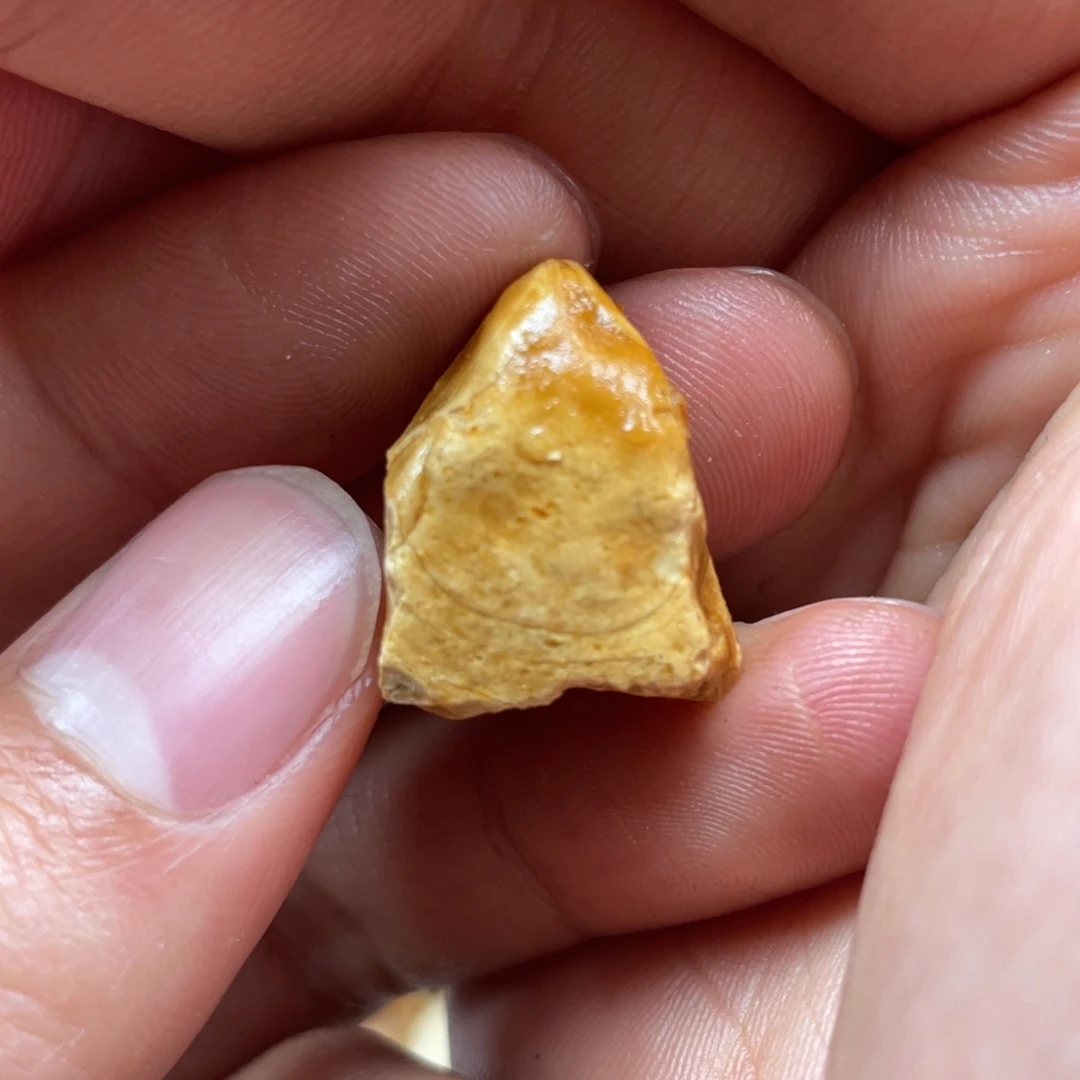 定制琥珀未镶嵌天然蜜蜡