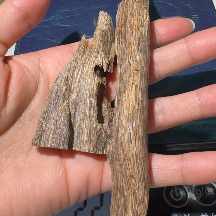 楠木薰香虫漏10克