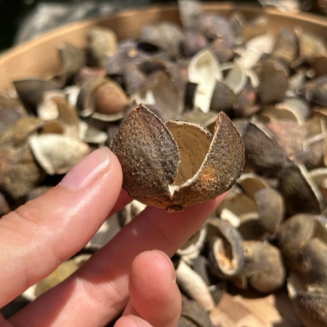 自然陈三年 老山桔皮