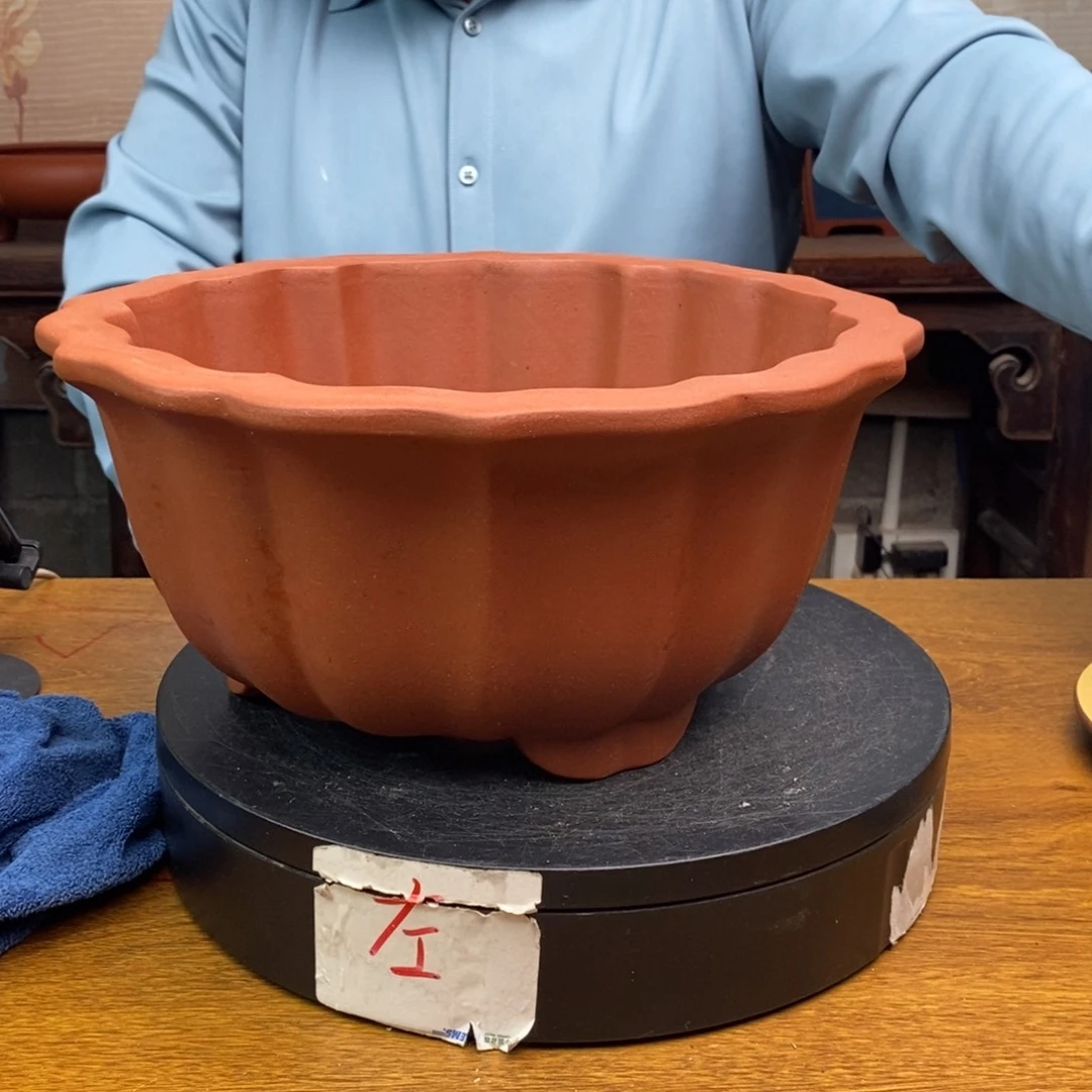 紫砂货号一只JN989