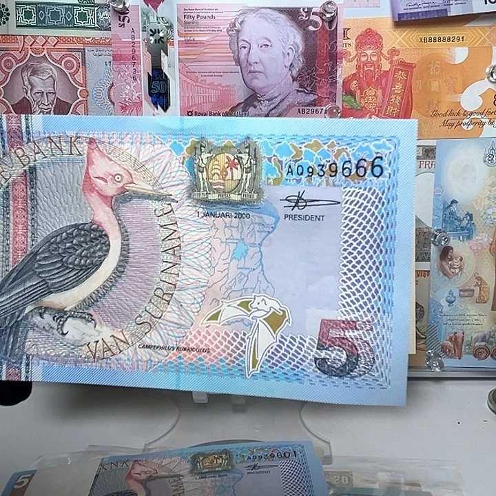 春***酒纸币苏里南纸币一张666