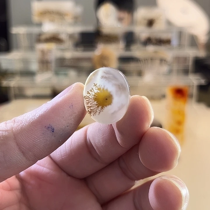 未镶嵌吊坠(不含链)玛瑙/玉髓