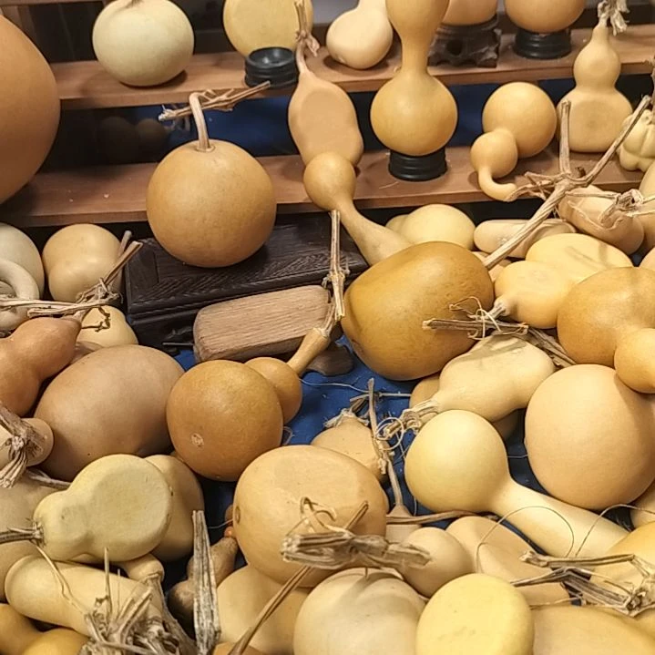 直播间专供链接葫芦