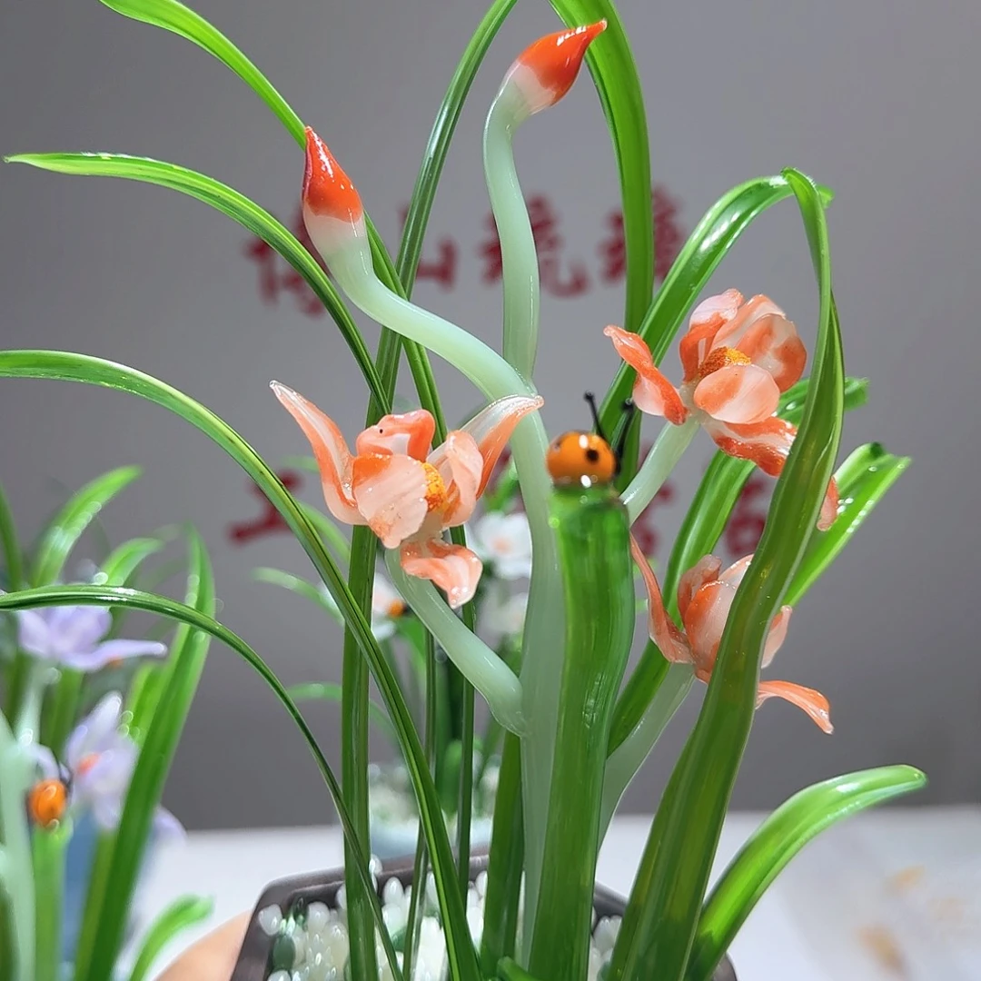 琉璃琉璃兰花2222