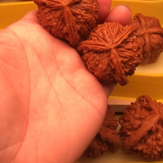 遠***通核桃核桃核桃核桃