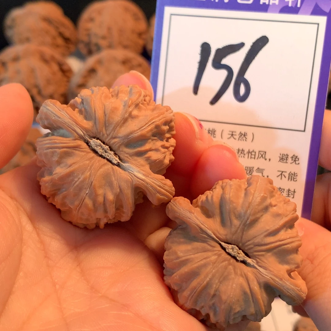 把件文玩核桃156白狮子4.0