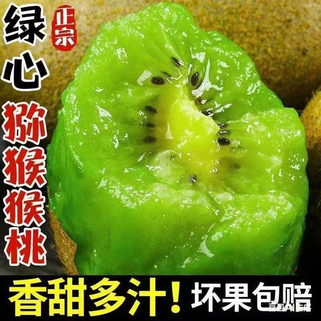 正宗眉县徐香绿心猕猴桃当季新鲜水果现摘香甜多汁富含维C