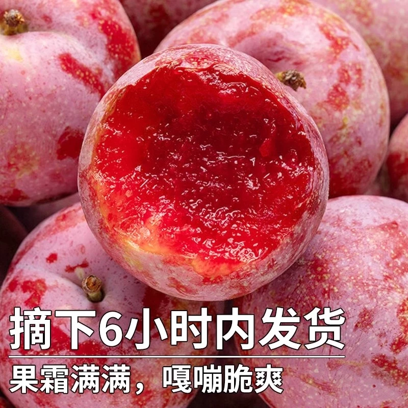 【爆】三华李新鲜水果酸脆正宗红心李子当季现摘孕妇水果酸