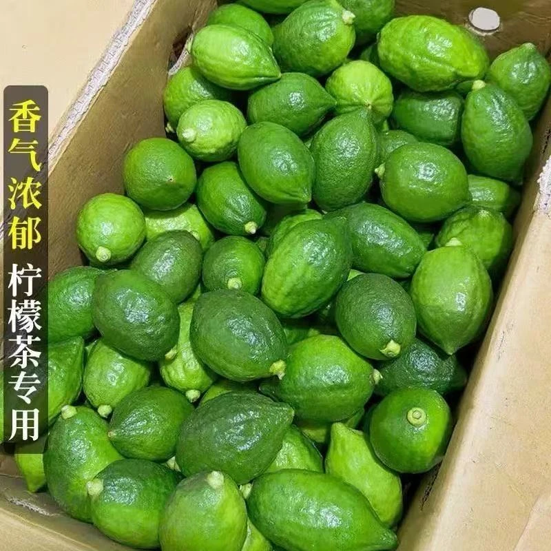 苒彩广东香水柠檬二级果爆香一级果香浓郁新鲜直发奶茶店专用