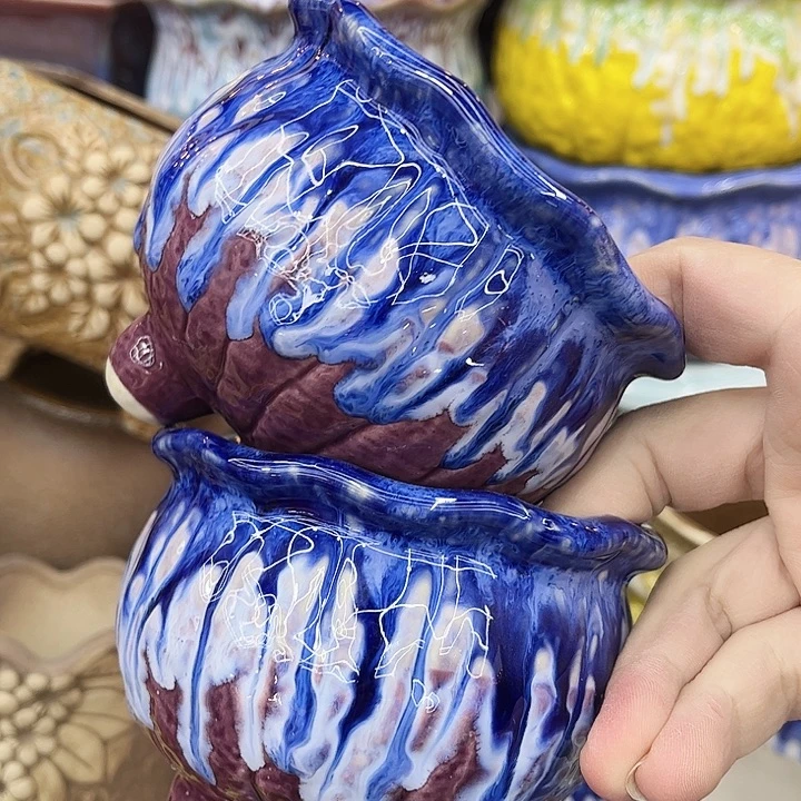 多肉植物陶瓷花盆